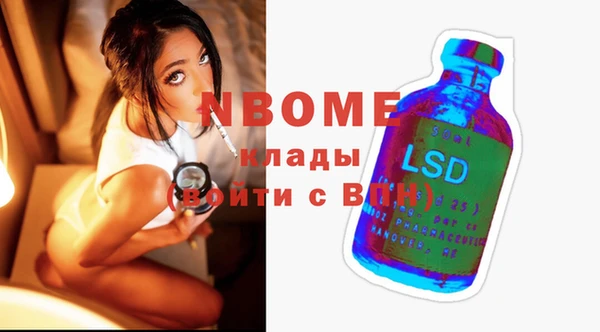 прущие грибы Коряжма