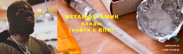 прущие грибы Коряжма