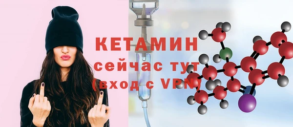 прущие грибы Коряжма