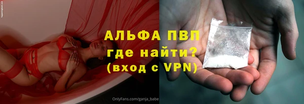 прущие грибы Коряжма