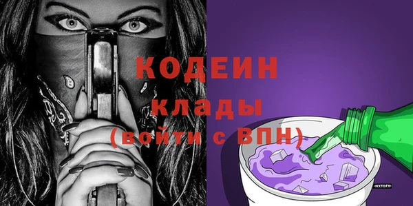 прущие грибы Коряжма