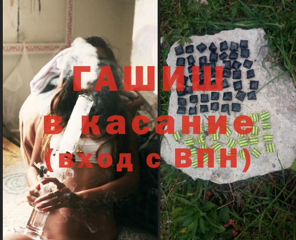 прущие грибы Коряжма