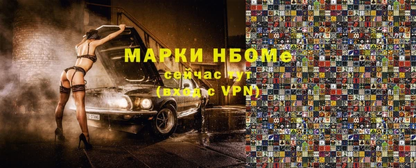 прущие грибы Коряжма