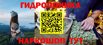 ПСИЛОЦИБИНОВЫЕ ГРИБЫ Аргун