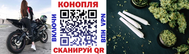 магазин  наркотиков  Унеча  ОМГ ОМГ маркетплейс  Бошки марихуана план 